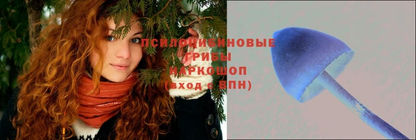 MESCALINE Аркадак