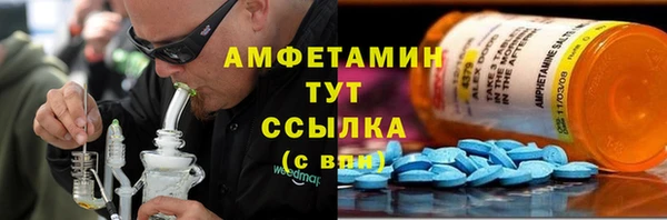 стаф Алексин