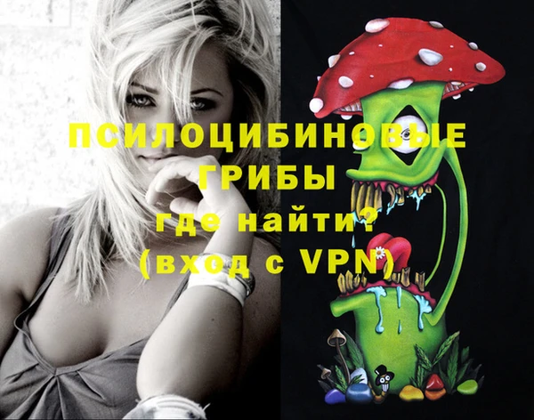 ECSTASY Алзамай