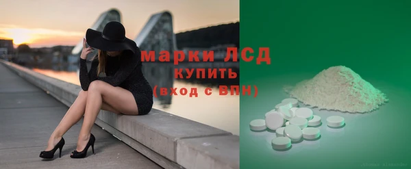 стаф Алексин