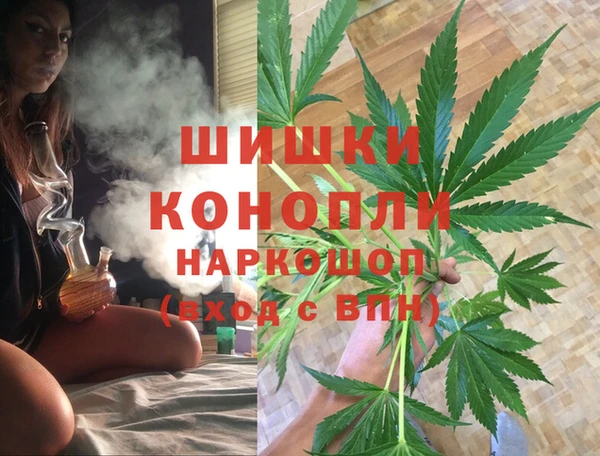 стаф Алексин