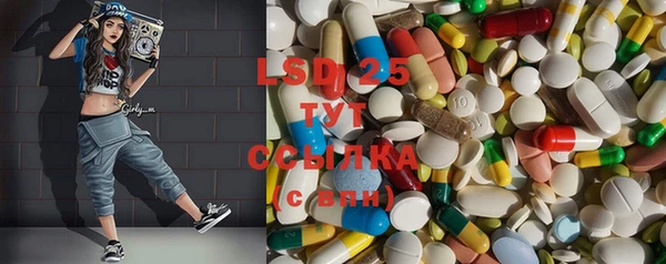 ECSTASY Алзамай