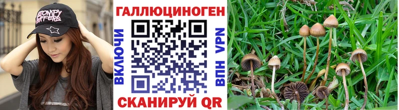 Галлюциногенные грибы Cubensis  магазин продажи наркотиков  мориарти как зайти  Собинка 